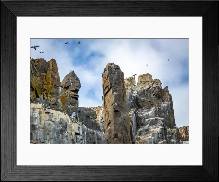 Framed Print : rocks waterfall small icebergs at the Alkefjellet between Spitsbergen and Nordaustlandet on Svalbard, Norway Framed Print : rocks waterfall small icebergs at the Alkefjellet between Spitsbergen and Nordaustlandet on Svalbard, Norway