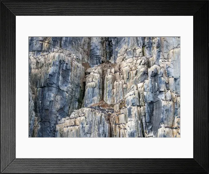 Framed Print : rocks waterfall small icebergs at the Alkefjellet between Spitsbergen and Nordaustlandet on Svalbard, Norway Framed Print : rocks waterfall small icebergs at the Alkefjellet between Spitsbergen and Nordaustlandet on Svalbard, Norway