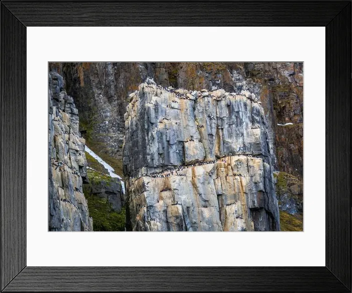 Framed Print : rocks waterfall small icebergs at the Alkefjellet between Spitsbergen and Nordaustlandet on Svalbard, Norway Framed Print : rocks waterfall small icebergs at the Alkefjellet between Spitsbergen and Nordaustlandet on Svalbard, Norway