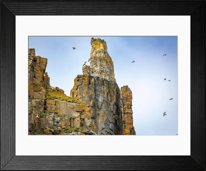 Framed Print : rocks waterfall small icebergs at the Alkefjellet between Spitsbergen and Nordaustlandet on Svalbard, Norway Framed Print : rocks waterfall small icebergs at the Alkefjellet between Spitsbergen and Nordaustlandet on Svalbard, Norway