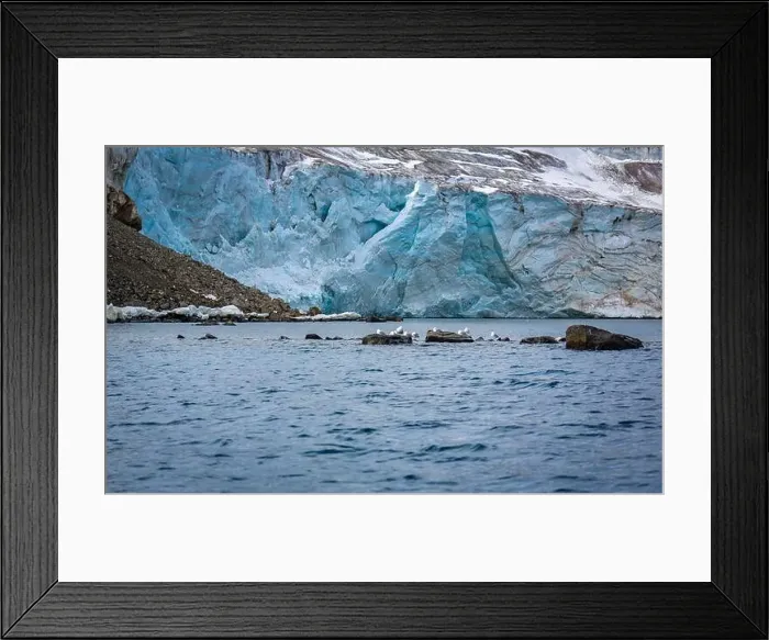 Framed Print : rocks waterfall small iceberg and glacier at the Alkefjellet between Spitsbergen and Nordaustlandet on Svalbard, Norway Framed Print : rocks waterfall small iceberg and glacier at the Alkefjellet between Spitsbergen and Nordaustlandet on Svalbard, Norway