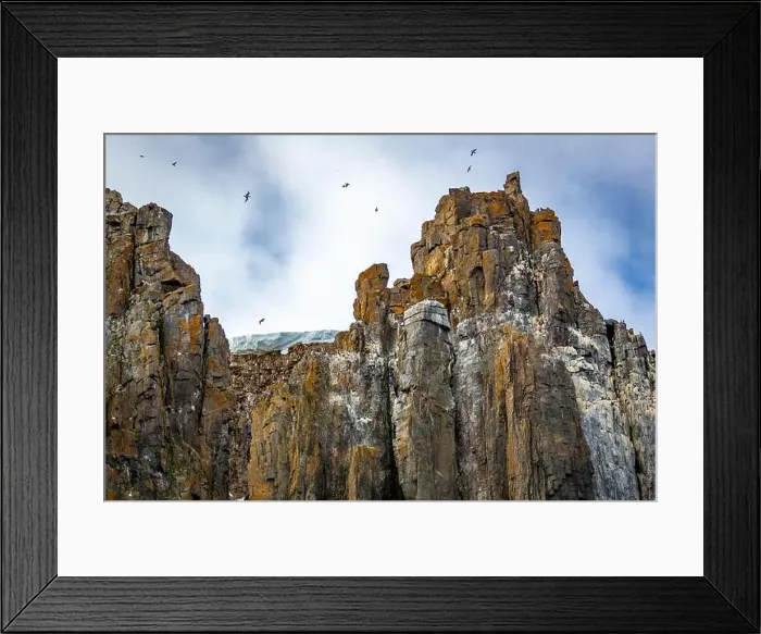 Framed Print : rocks waterfall small icebergs at the Alkefjellet between Spitsbergen and Nordaustlandet on Svalbard, Norway Framed Print : rocks waterfall small icebergs at the Alkefjellet between Spitsbergen and Nordaustlandet on Svalbard, Norway