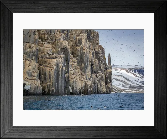 Framed Print : rocks waterfall small icebergs at the Alkefjellet between Spitsbergen and Nordaustlandet on Svalbard, Norway Framed Print : rocks waterfall small icebergs at the Alkefjellet between Spitsbergen and Nordaustlandet on Svalbard, Norway