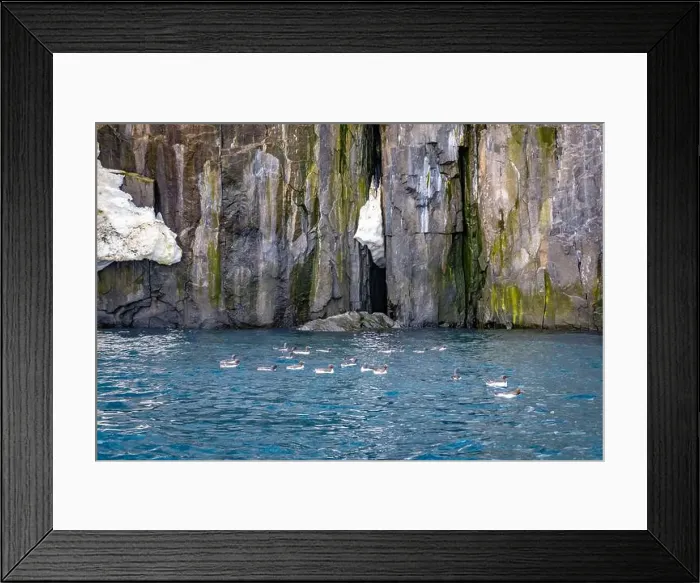 Framed Print : rocks waterfall small icebergs at the Alkefjellet between Spitsbergen and Nordaustlandet on Svalbard, Norway Framed Print : rocks waterfall small icebergs at the Alkefjellet between Spitsbergen and Nordaustlandet on Svalbard, Norway
