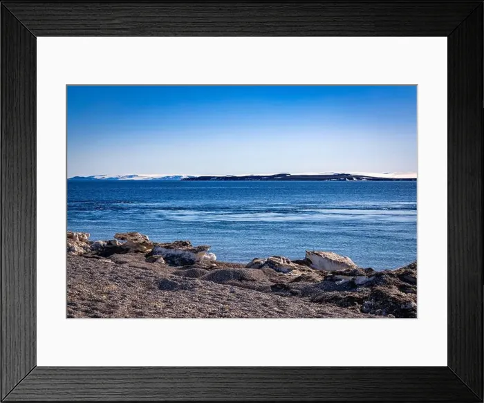 Framed Print : visiting a colony with walruses at Torellneset on Nordaustlandet on Svalbard, Norway Framed Print : visiting a colony with walruses at Torellneset on Nordaustlandet on Svalbard, Norway