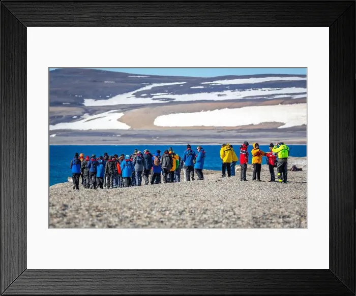 Framed Print : visiting a colony with walruses at Torellneset on Nordaustlandet on Svalbard, Norway Framed Print : visiting a colony with walruses at Torellneset on Nordaustlandet on Svalbard, Norway