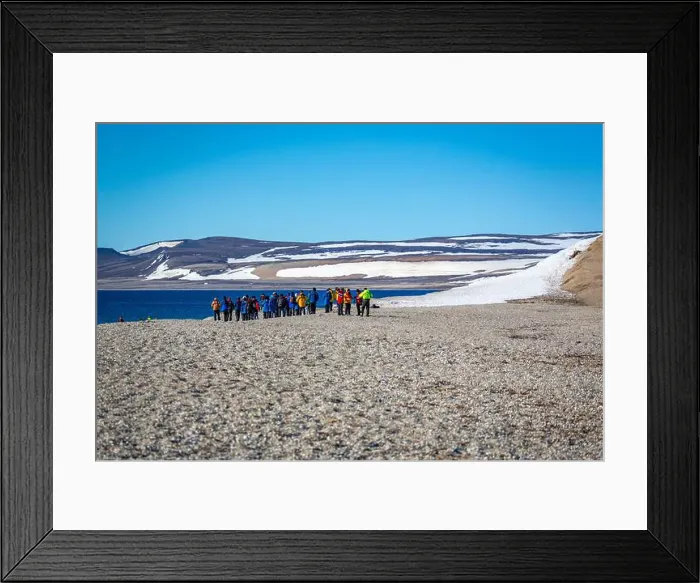 Framed Print : visiting a colony with walruses at Torellneset on Nordaustlandet on Svalbard, Norway Framed Print : visiting a colony with walruses at Torellneset on Nordaustlandet on Svalbard, Norway