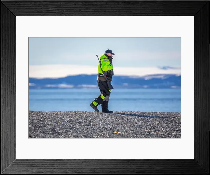 Framed Print : visiting a colony with walruses at Torellneset on Nordaustlandet on Svalbard, Norway Framed Print : visiting a colony with walruses at Torellneset on Nordaustlandet on Svalbard, Norway