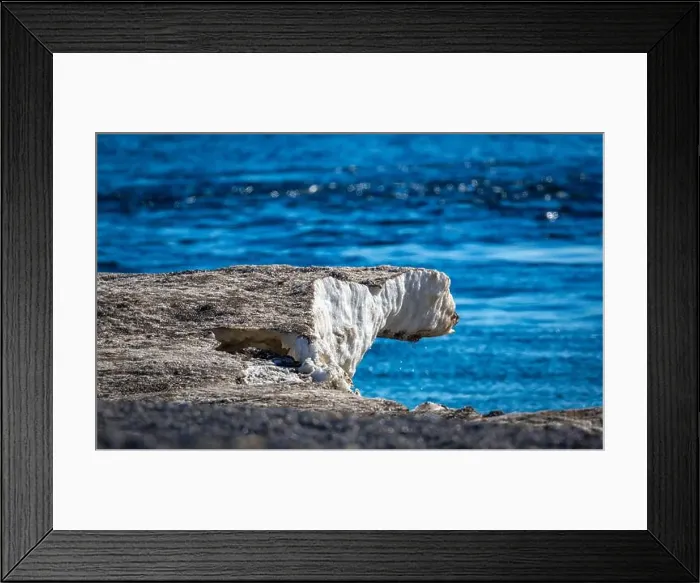 Framed Print : visiting a colony with walruses at Torellneset on Nordaustlandet on Svalbard, Norway Framed Print : visiting a colony with walruses at Torellneset on Nordaustlandet on Svalbard, Norway