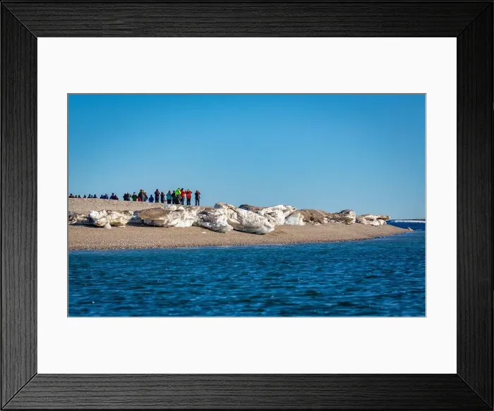 Framed Print : visiting a colony with walruses at Torellneset on Nordaustlandet on Svalbard, Norway Framed Print : visiting a colony with walruses at Torellneset on Nordaustlandet on Svalbard, Norway