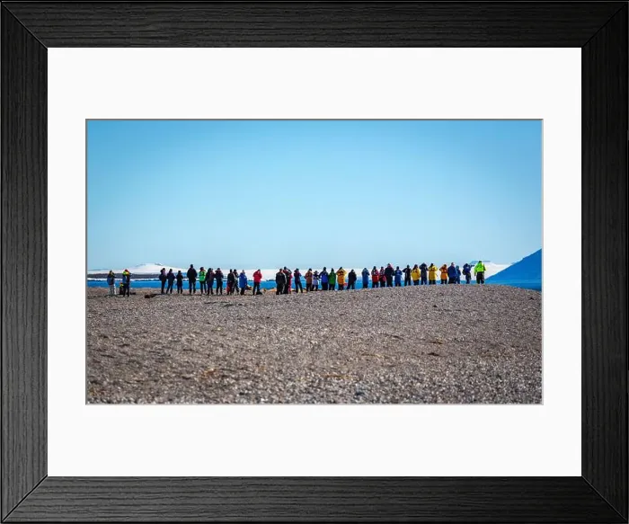 Framed Print : visiting a colony with walruses at Torellneset on Nordaustlandet on Svalbard, Norway Framed Print : visiting a colony with walruses at Torellneset on Nordaustlandet on Svalbard, Norway