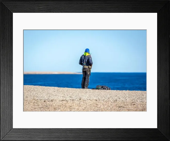 Framed Print : visiting a colony with walruses at Torellneset on Nordaustlandet on Svalbard, Norway Framed Print : visiting a colony with walruses at Torellneset on Nordaustlandet on Svalbard, Norway