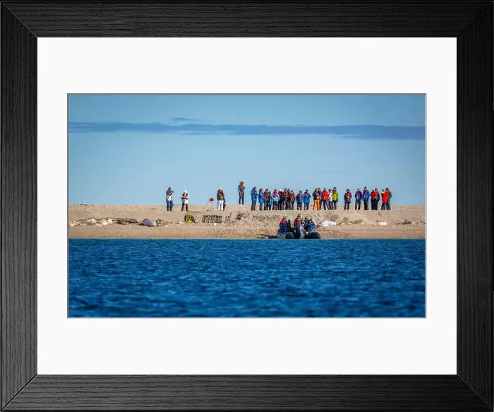 Framed Print : visiting a colony with walruses at Torellneset on Nordaustlandet on Svalbard, Norway Framed Print : visiting a colony with walruses at Torellneset on Nordaustlandet on Svalbard, Norway