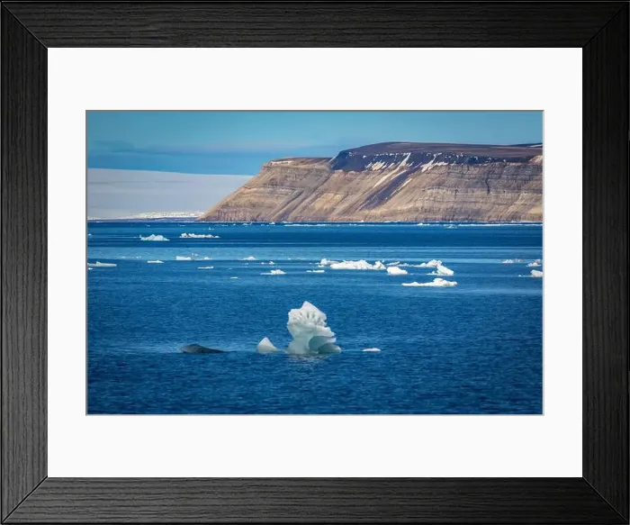 Framed Print : cruising on Svalbard between Spitsbergen and Nordaustlandet anlong with some small icebergs Framed Print : cruising on Svalbard between Spitsbergen and Nordaustlandet anlong with some small icebergs