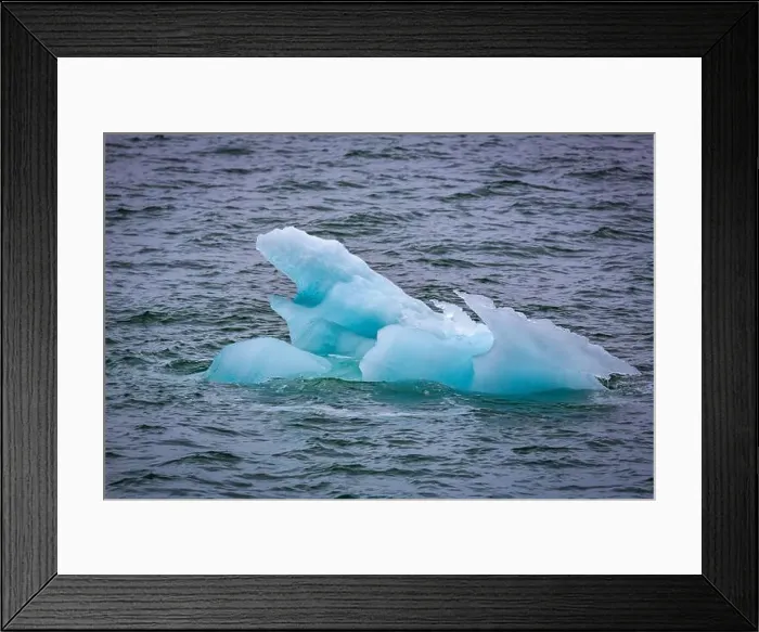 Framed Print : Cruising in the Hamiltonbukta on Spitsbergen and driving along glacier und bird watching Framed Print : Cruising in the Hamiltonbukta on Spitsbergen and driving along glacier und bird watching
