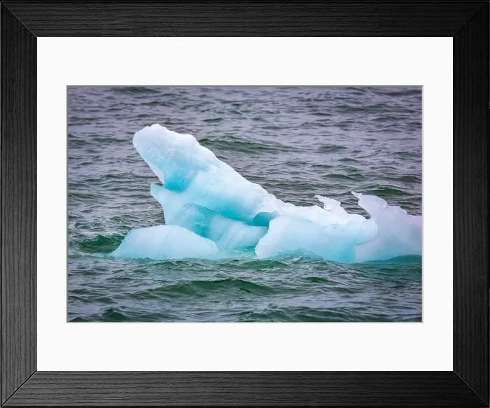 Framed Print : Cruising in the Hamiltonbukta on Spitsbergen and driving along glacier und bird watching Framed Print : Cruising in the Hamiltonbukta on Spitsbergen and driving along glacier und bird watching