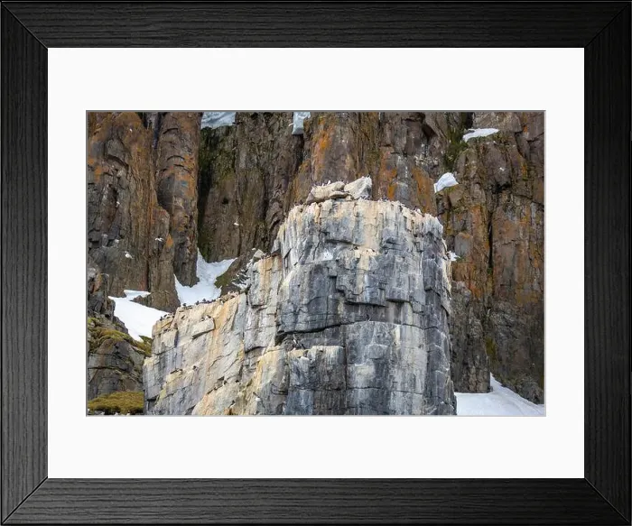 Framed Print : Bird watching at the Alkefjellet between Spitsbergen and Nordaustlandet on Svalbard, Norway Framed Print : Bird watching at the Alkefjellet between Spitsbergen and Nordaustlandet on Svalbard, Norway