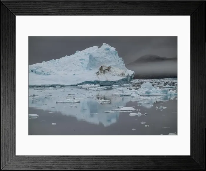 Framed Print : Floating iceberg near the Eqi glacier, Ilulissat, Western Greenland, Denmark, Polar Regions Framed Print : Floating iceberg near the Eqi glacier, Ilulissat, Western Greenland, Denmark, Polar Regions