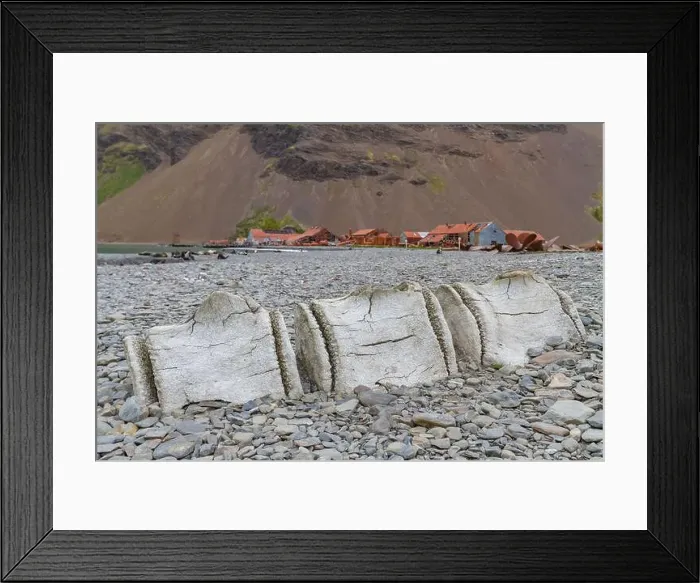 Framed Print : Views of the abandoned whaling station in Stromness Bay on South Georgia, Southern Ocean, Polar Regions