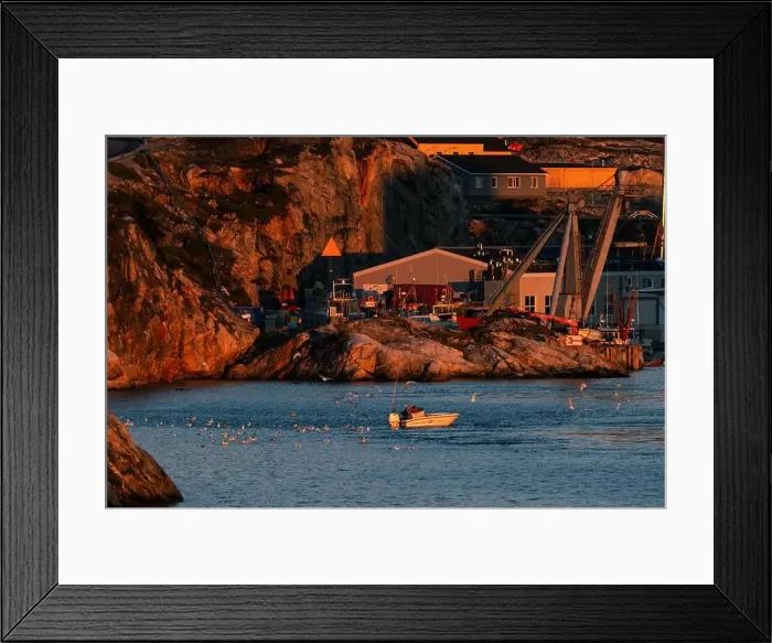 Framed Print : Seagulls flock to incoming fishing boat in Ilulissat, Greenland harbor Framed Print : Seagulls flock to incoming fishing boat in Ilulissat, Greenland harbor