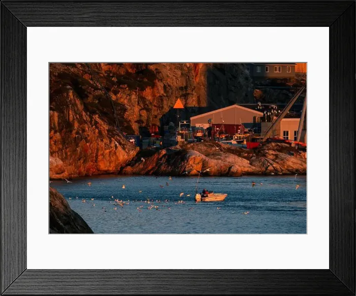 Framed Print : Seagulls swarm a small fishing boat coming into port in Ilulissat, Greenland in the Arctic Framed Print : Seagulls swarm a small fishing boat coming into port in Ilulissat, Greenland in the Arctic
