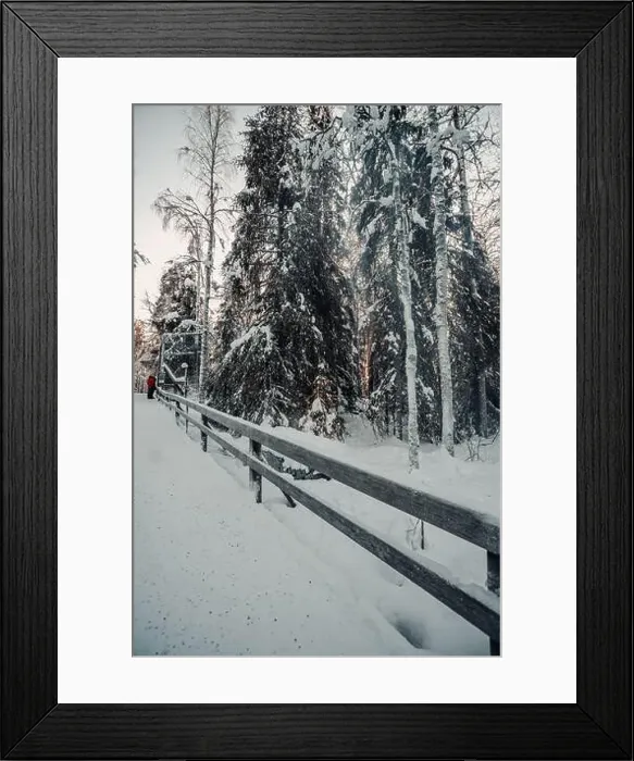 Framed Print : Snowy Christmas tree in forest in wildlife park in Ranua, Lapland Framed Print : Snowy Christmas tree in forest in wildlife park in Ranua, Lapland
