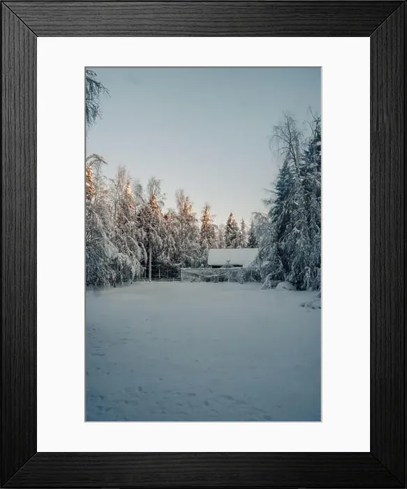 Framed Print : Clearing in snowy forest next to animal enclosure in Ranua, Lapland Framed Print : Clearing in snowy forest next to animal enclosure in Ranua, Lapland