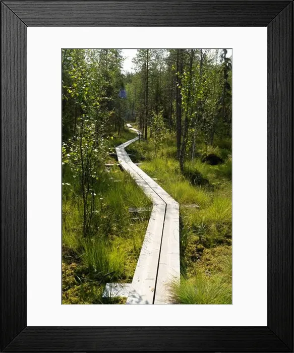 Framed Print : Vikaköngäs, Arctic Circle Hiking Area, lapland, Finland Framed Print : Vikaköngäs, Arctic Circle Hiking Area, lapland, Finland