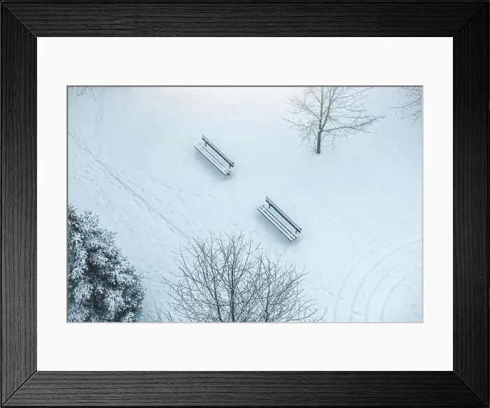 Framed Print : View of a snow covered park in winter season.High quality photo. High quality photo Framed Print : View of a snow covered park in winter season.High quality photo. High quality photo