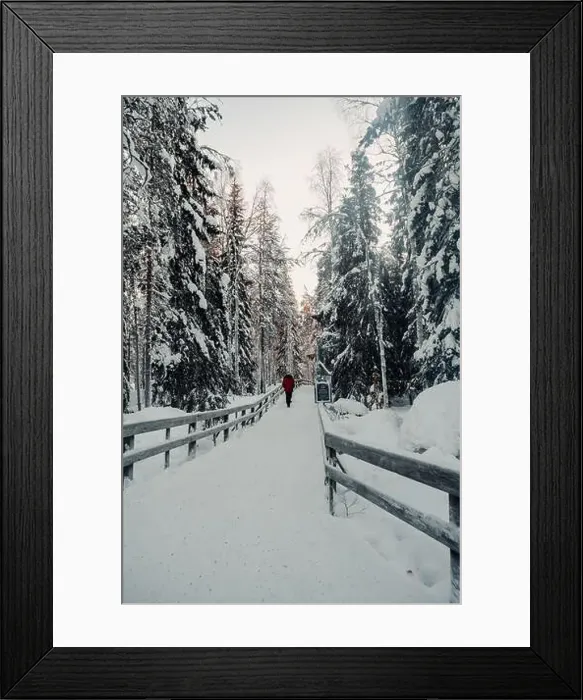 Framed Print : Path through snowy winter forest in wildlife park in Ranua, Lapland Framed Print : Path through snowy winter forest in wildlife park in Ranua, Lapland