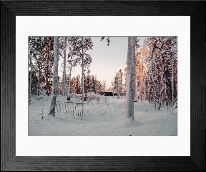 Framed Print : Snowy forest in wildlife park at sunset in Ranua, Lapland Framed Print : Snowy forest in wildlife park at sunset in Ranua, Lapland