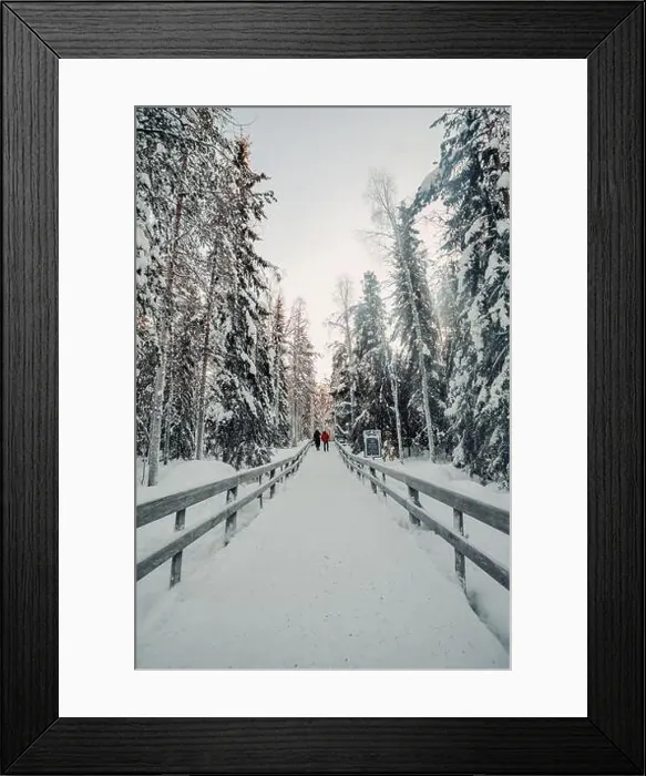 Framed Print : Footpath through snowy forest in wildlife park in Ranua, Lapland Framed Print : Footpath through snowy forest in wildlife park in Ranua, Lapland