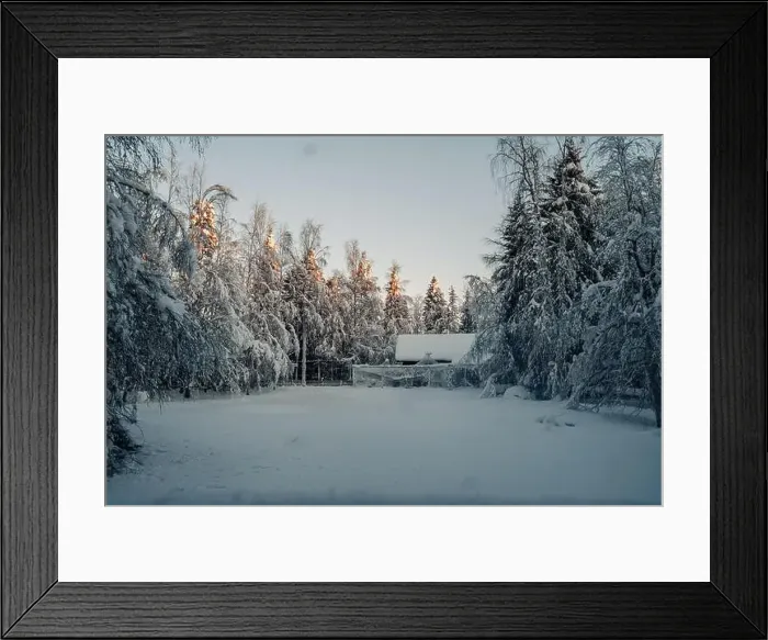 Framed Print : Snowy clearing in forest next to animal enclosure in Ranua, Lapland Framed Print : Snowy clearing in forest next to animal enclosure in Ranua, Lapland