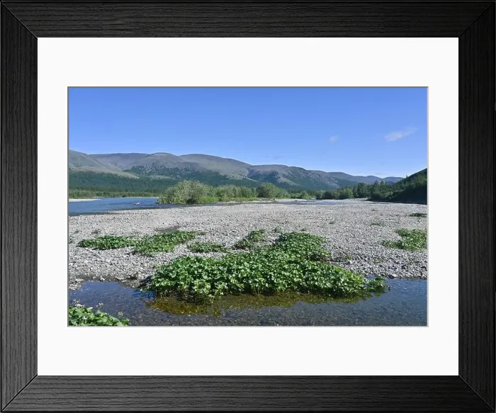 Framed Print : The Sob River in the Polar Urals. A picturesque mountain river on the eastern slope of the Ural Mountains Framed Print : The Sob River in the Polar Urals. A picturesque mountain river on the eastern slope of the Ural Mountains