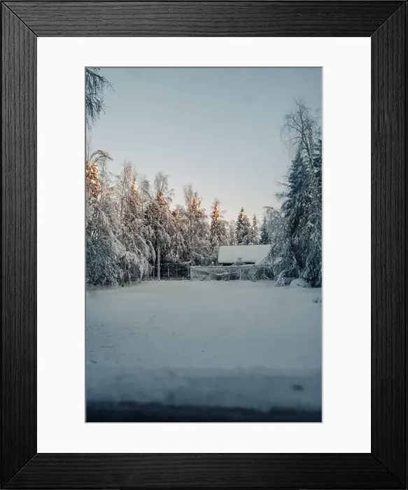Framed Print : Snowy clearing next to animal enclosure in forest in Ranua, Lapland Framed Print : Snowy clearing next to animal enclosure in forest in Ranua, Lapland