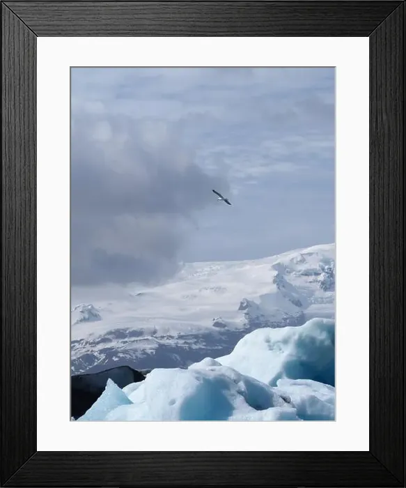 Framed Print : A lone bird soars high over a chilly