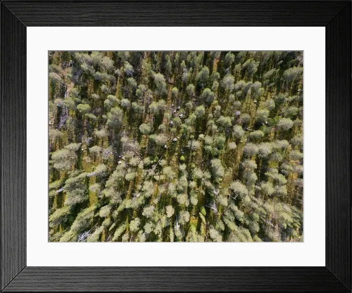 Framed Print : Vikaköngäs, Lapland, Finland Framed Print : Vikaköngäs, Lapland, Finland