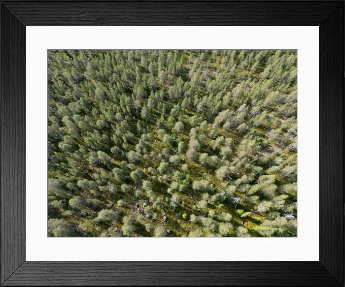 Framed Print : Vikaköngäs, Lapland, Finland Framed Print : Vikaköngäs, Lapland, Finland
