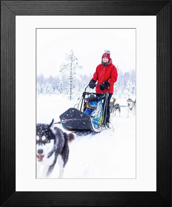 Framed Print : Happy mid adult woman smiling at camera dogsledding in a snowy forest