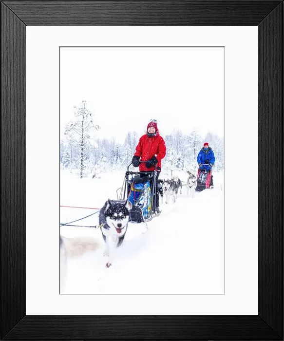 Framed Print : Happy couple smiling at camera dogsledding in the snowy landscape Framed Print : Happy couple smiling at camera dogsledding in the snowy landscape