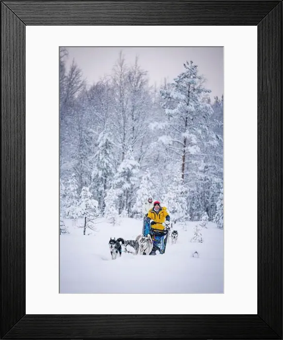 Framed Print : Happy man with daughter having fun dog sledding in the snow