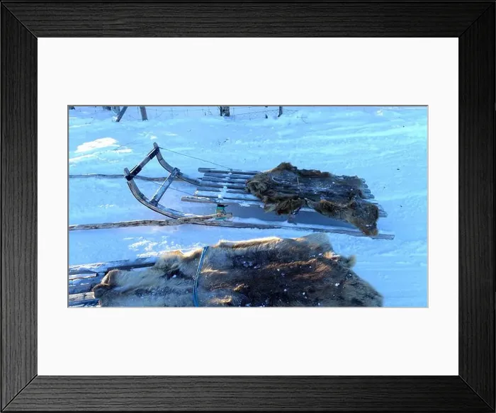 Framed Print : Sleds parked on the snow in the north of Sweden Framed Print : Sleds parked on the snow in the north of Sweden