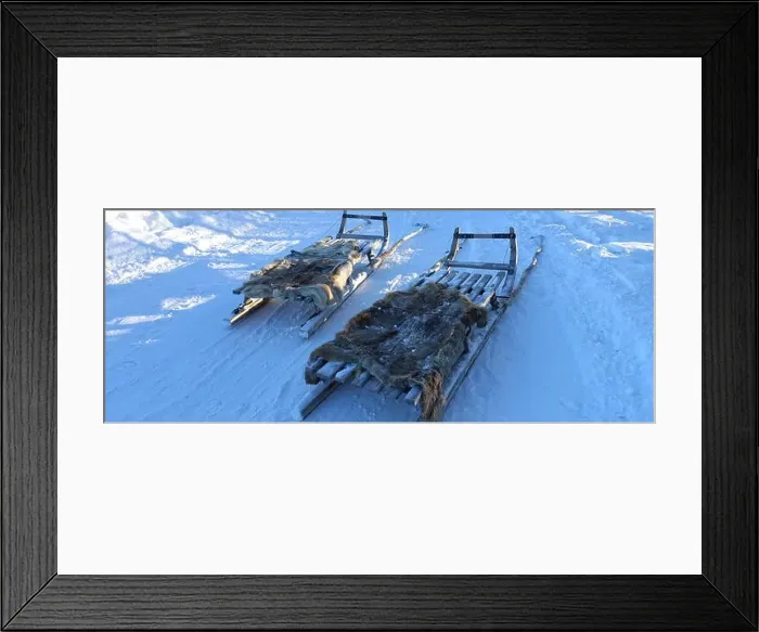 Framed Print : Sleds parked on the snow in the north of Sweden Framed Print : Sleds parked on the snow in the north of Sweden