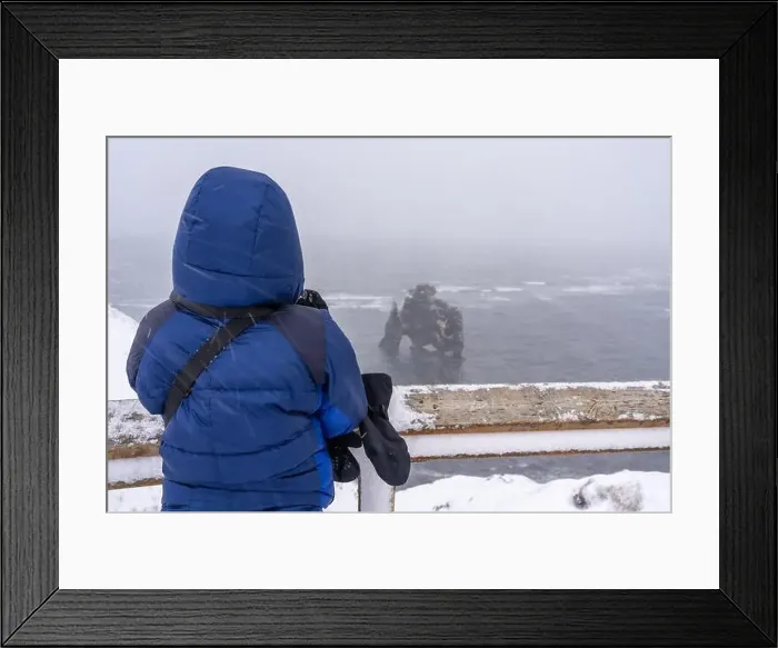 Framed Print : Adventurous woman in winter in Iceland looking at the frozen figure of Hvitserkur Framed Print : Adventurous woman in winter in Iceland looking at the frozen figure of Hvitserkur