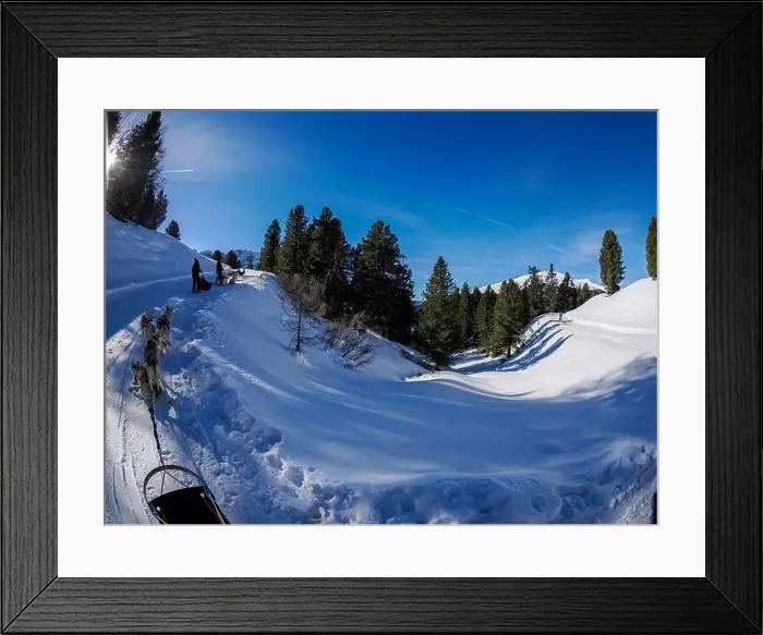 Framed Print : Sleddog with husky dogs in snow mountains white background in dolomites on sunny day view from the sled Framed Print : Sleddog with husky dogs in snow mountains white background in dolomites on sunny day view from the sled