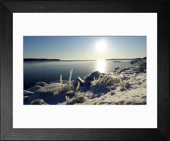 Framed Print : Frozen plants on the coast of Northern Europe during a sunny morning Framed Print : Frozen plants on the coast of Northern Europe during a sunny morning