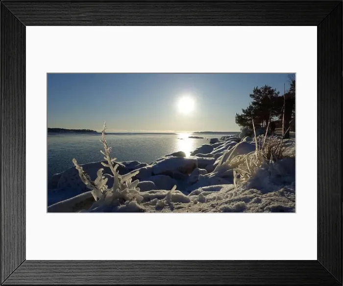 Framed Print : Frozen plants on the coast of Northern Europe during a sunny morning Framed Print : Frozen plants on the coast of Northern Europe during a sunny morning