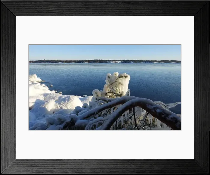 Framed Print : Frozen trees and plants on the coast of Northern Europe during a sunny morning Framed Print : Frozen trees and plants on the coast of Northern Europe during a sunny morning