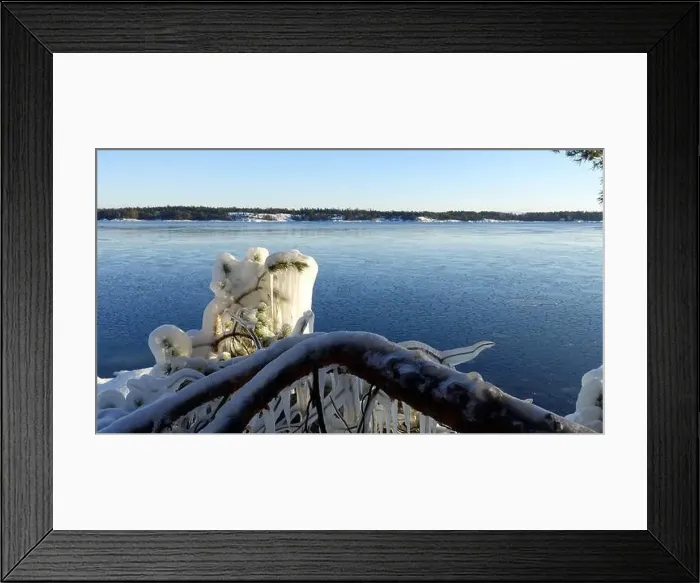 Framed Print : Frozen trees and plants on the coast of Northern Europe during a sunny morning Framed Print : Frozen trees and plants on the coast of Northern Europe during a sunny morning