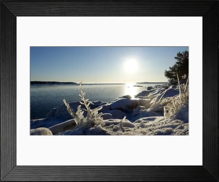 Framed Print : Frozen plants on the coast of Northern Europe during a sunny morning Framed Print : Frozen plants on the coast of Northern Europe during a sunny morning